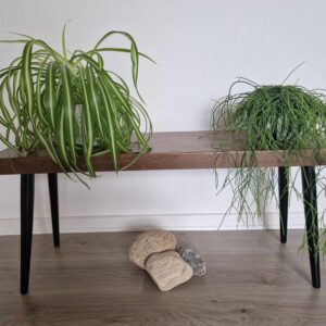 Entre møbel bænk / Blomsterbænk